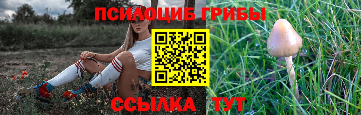 Псилоцибиновые грибы ЛСД  Вход с VPN  Борисоглебск  Галлюциногенные грибы Cubensis 